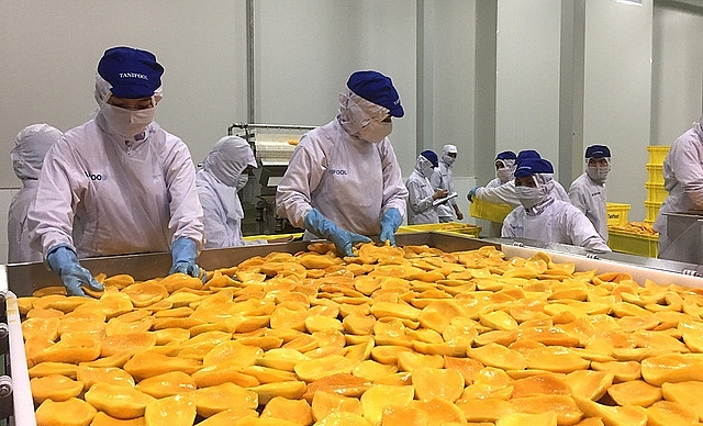 Hà Nội: Kim ngạch xuất khẩu hàng hóa tăng 2,5% so với cùng kỳ