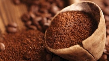 Giá cà phê hôm nay 29/5:  Tăng trung bình thêm 1.000 đồng/kg