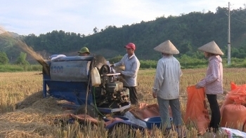 Vụ Đông Xuân 2020 - 2021 ở các tỉnh phía Bắc thắng lợi toàn diện