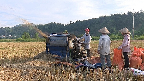 Vụ Đông Xuân 2020 - 2021 ở các tỉnh phía Bắc thắng lợi toàn diện