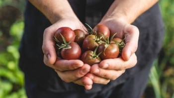 Giá rau củ quả hôm nay 29/5: Cuối tuần ngập tràn ưu đãi