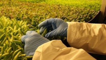 Bình Thuận: Đẩy nhanh tiến độ triển khai thực hiện các dự án nông nghiệp quan trọng