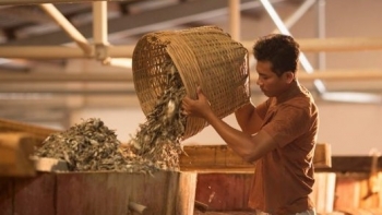 Kiên Giang: Nghề làm nước mắm ở Phú Quốc trở thành di sản văn hóa phi vật thể quốc gia