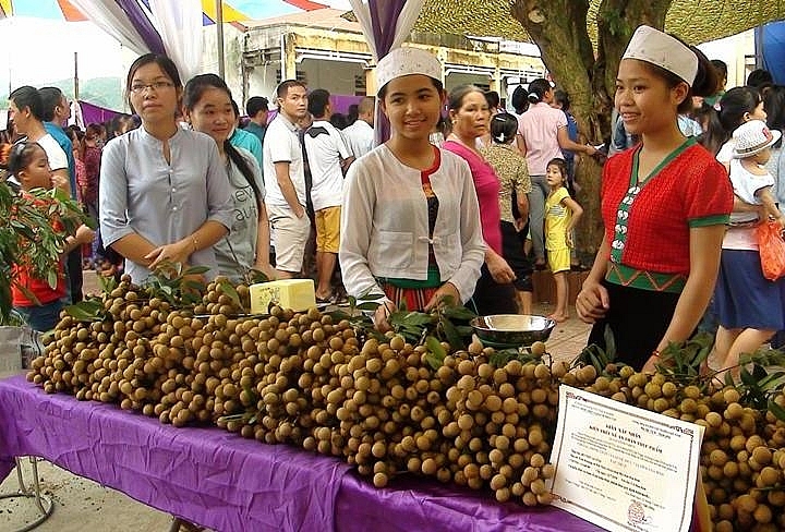 Nhờ được cấp mã số vùng, năm 2020 sản phẩm nhãn Sơn Thủy (huyện Kim Bôi) xuất khẩu được 120 tấn sang thị trường Trung Quốc