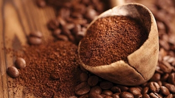 Giá cà phê hôm nay 1/6: Đi ngang