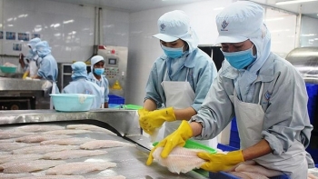 Xuất khẩu thủy sản tháng 5 tăng 23%