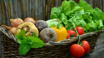 Giá rau củ quả hôm nay 4/6: Nhiều loại được khuyến mãi trong mùa dịch