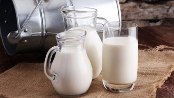 Nhập khẩu sữa và sản phẩm sữa các loại tăng nhẹ