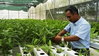 Bình Phước: Tổng vốn Quỹ Khởi nghiệp của tỉnh đạt trên 8,6 tỷ đồng