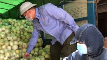 Ninh Bình: Tăng cường phòng, chống dịch Covid-19 trong vận chuyển hàng hóa