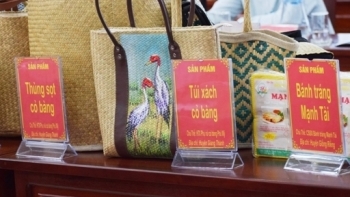 Kiên Giang: Hỗ trợ doanh nghiệp nâng cao năng suất và chất lượng sản phẩm, hàng hóa