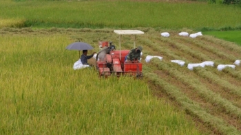 Bắc Ninh: Hỗ trợ người dân thu hoạch lúa Xuân trong tình hình dịch Covid-19