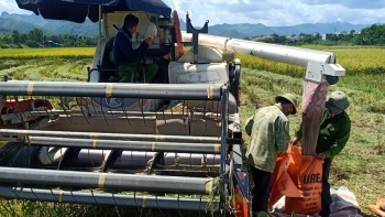 Hòa Bình: Đẩy mạnh cơ giới hóa, hiện đại hóa trong sản xuất trồng trọt
