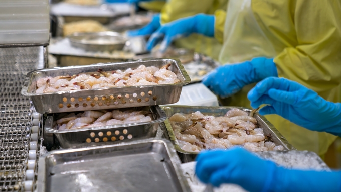 Xuất khẩu tôm của Việt Nam trong tháng 5 tăng nhẹ