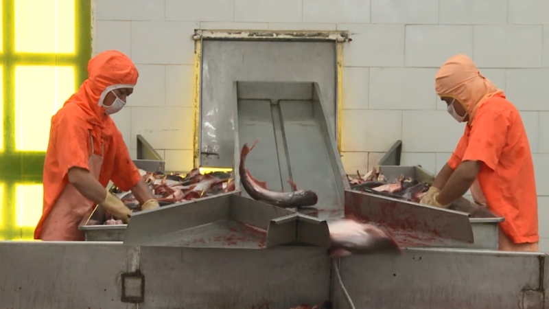 Hàng hóa dưới 6.000 Euro xuất khẩu sang Anh được tự chứng nhận xuất xứ