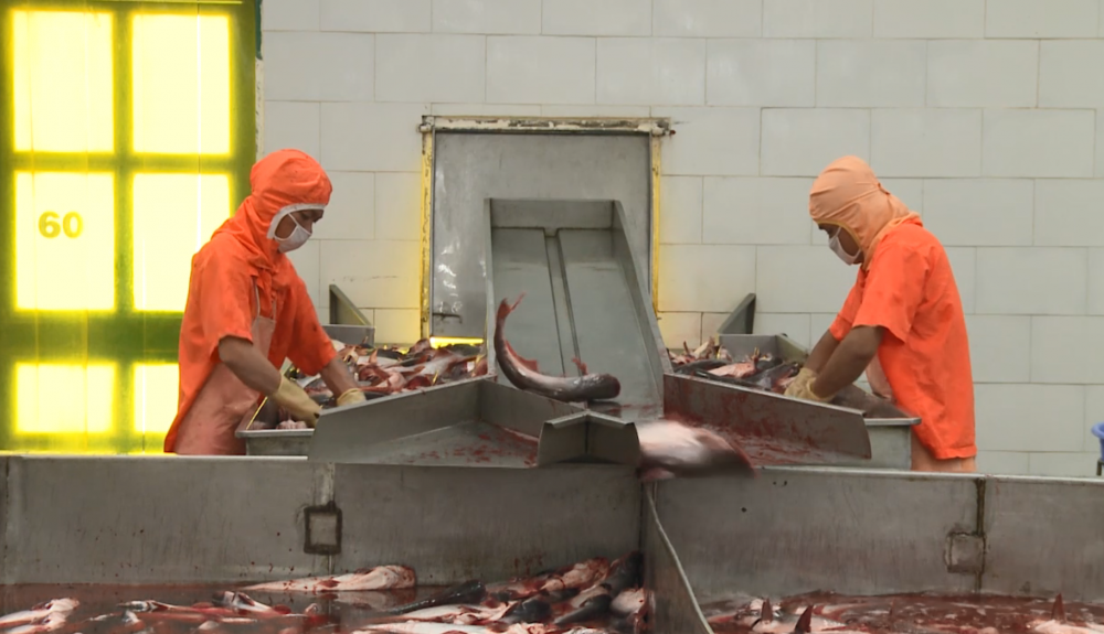 Hàng hóa dưới 6.000 Euro xuất khẩu sang Anh được tự chứng nhận xuất xứ Hàng hóa dưới 6.000 Euro xuất khẩu sang Anh được tự chứng nhận xuất xứ