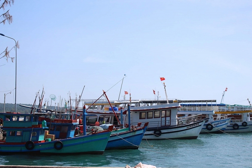 Chính phủ sẽ hỗ trợ các địa phương để thực hiện chính sách phát triển thủy sản.