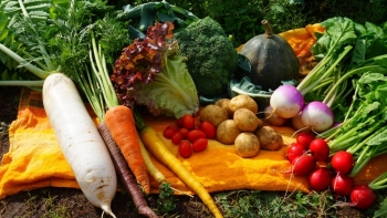 Giá rau củ quả hôm nay 17/6: Liên tục được ưu đãi