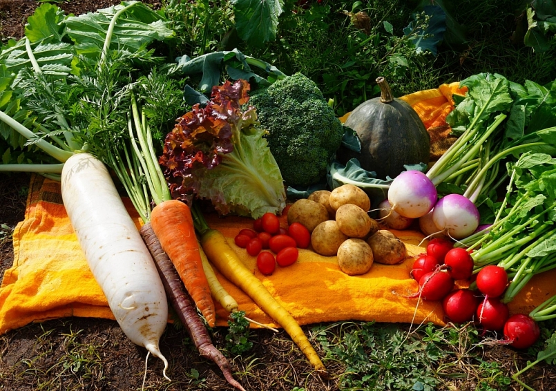 Giá rau củ quả hôm nay 17/6: Liên tục được ưu đãi