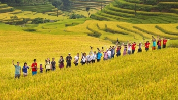 Tuần lễ văn hóa "Qua những miền di sản ruộng bậc thang Hoàng Su Phì" dự kiến diễn ra vào tháng 9