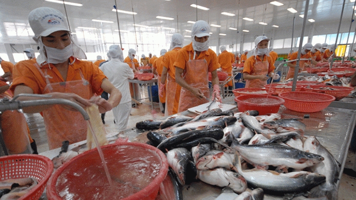 TP HCM dẫn đầu cả nước xuất khẩu thuỷ sản trong 5 tháng đầu năm