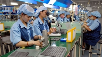 5 tháng đầu năm, kim ngạch xuất khẩu hàng hóa sang thị trường Hà Lan tăng 23,8%