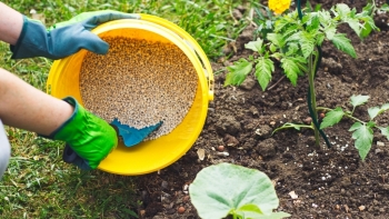 Nhập khẩu phân bón tăng mạnh trong tháng 5