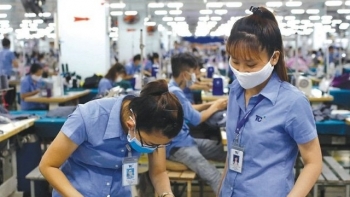 Xuất khẩu hàng hóa sang Pháp đạt 1,29 tỷ USD  trong 5 tháng đầu năm