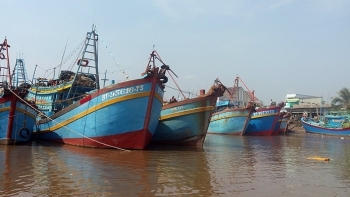 Bến Tre: Sản lượng khai thác thủy sản 6 tháng đầu năm ước đạt 102.000 tấn