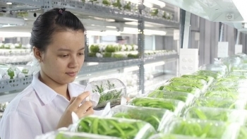 TP HCM: Phát triển giống cây, con và nông nghiệp công nghệ cao trên địa bàn