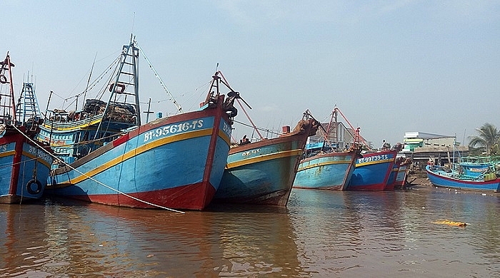 Bến Tre: Sản lượng khai thác thủy sản 6 tháng đầu năm ước đạt 102.000 tấn