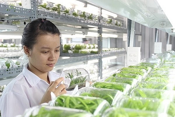 Chương trình phát triển giống cây, con và nông nghiệp công nghệ cao trên địa bàn TPHCM giai đoạn 2020 - 2030 Chương trình phát triển giống cây, con và nông nghiệp công nghệ cao trên địa bàn TPHCM giai đoạn 2020 - 2030