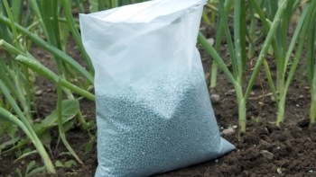 5 tháng đầu năm, xuất khẩu phân bón tăng mạnh, thu về 185,74 triệu USD