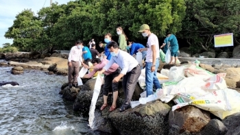 Cà Mau: Thả giống phóng sinh tái tạo các loài thủy sản ven bờ