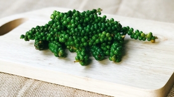 Giá hồ tiêu hôm nay 22/6: Tiếp tục giữ ổn định