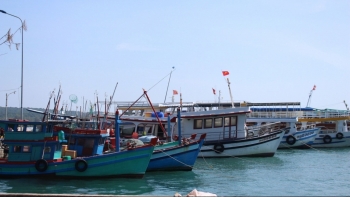 Bình Thuận: Xử lý nghiêm các tổ chức, cá nhân để tàu cá vi phạm vùng biển nước ngoài khai thác thủy sản trái phép