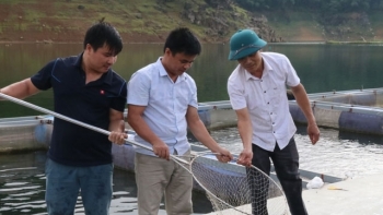 Hòa Bình: 6 tháng đầu năm, sản lượng thủy sản toàn tỉnh ước đạt 3,88 nghìn tấn