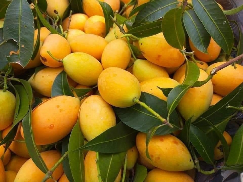 Quảng Nam: Thực hiện Đề án đổi mới phương thức kinh doanh tiêu thụ nông sản giai đoạn 2021-2025