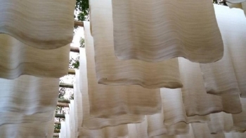 5 tháng đầu năm, xuất khẩu cao su sang Trung Quốc chiếm 65% trong tổng kim ngạch