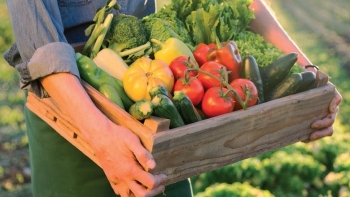 Giá rau củ quả hôm nay 29/6: Tiếp tục có nhiều ưu đãi