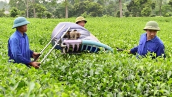Tuyên Quang: 6 tháng đầu năm, GRDP ước tăng 6,19%