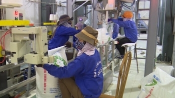 Sơn La: Chỉ số sản xuất công nghiệp 6 tháng đầu năm ước tăng 32,83%