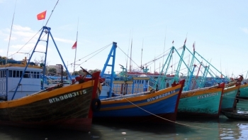 Bình Thuận: Tiếp tục ngăn chặn tàu cá vi phạm vùng biển nước ngoài, vi phạm khai thác IUU