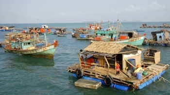 Kiên Giang: Phát triển nuôi biển theo hướng bền vững trên địa bàn tỉnh