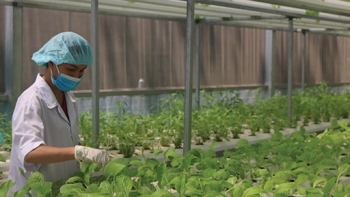 Thừa Thiên Huế: Tốc độ tăng trưởng GRDP 6 tháng đầu năm tăng 5,64%