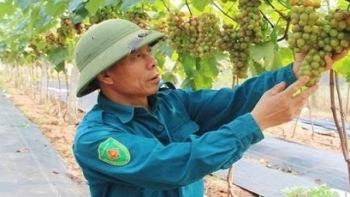 Vĩnh Phúc: Kim ngạch xuất khẩu 6 tháng đầu năm tăng 26,5% so với cùng kỳ