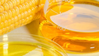 Gia hạn điều tra chống bán phá giá đường lỏng từ tinh bột ngô của Trung Quốc và Hàn Quốc