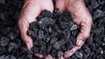 Nhập khẩu than đá sụt giảm mạnh trong 5 tháng đầu năm