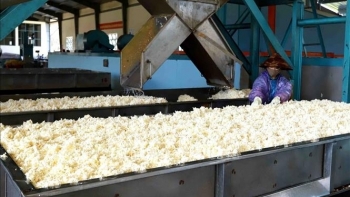 Xuất khẩu cao su sang Đài Loan tăng mạnh