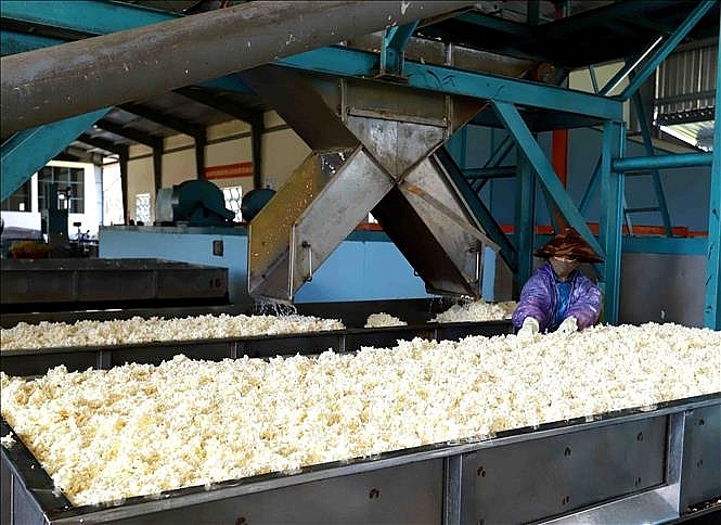 Xuất khẩu cao su sang Đài Loan tăng hơn 132% về giá trị